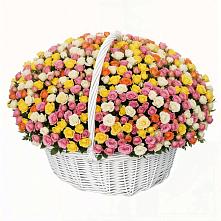 Премиум букет из: Розы в Караваево Костромской области