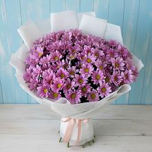 Букет цветов из:  Хризантемы в Караваево Костромской области
