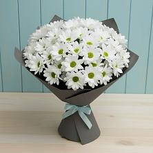 Букет цветов из:  Хризантемы в Караваево Костромской области