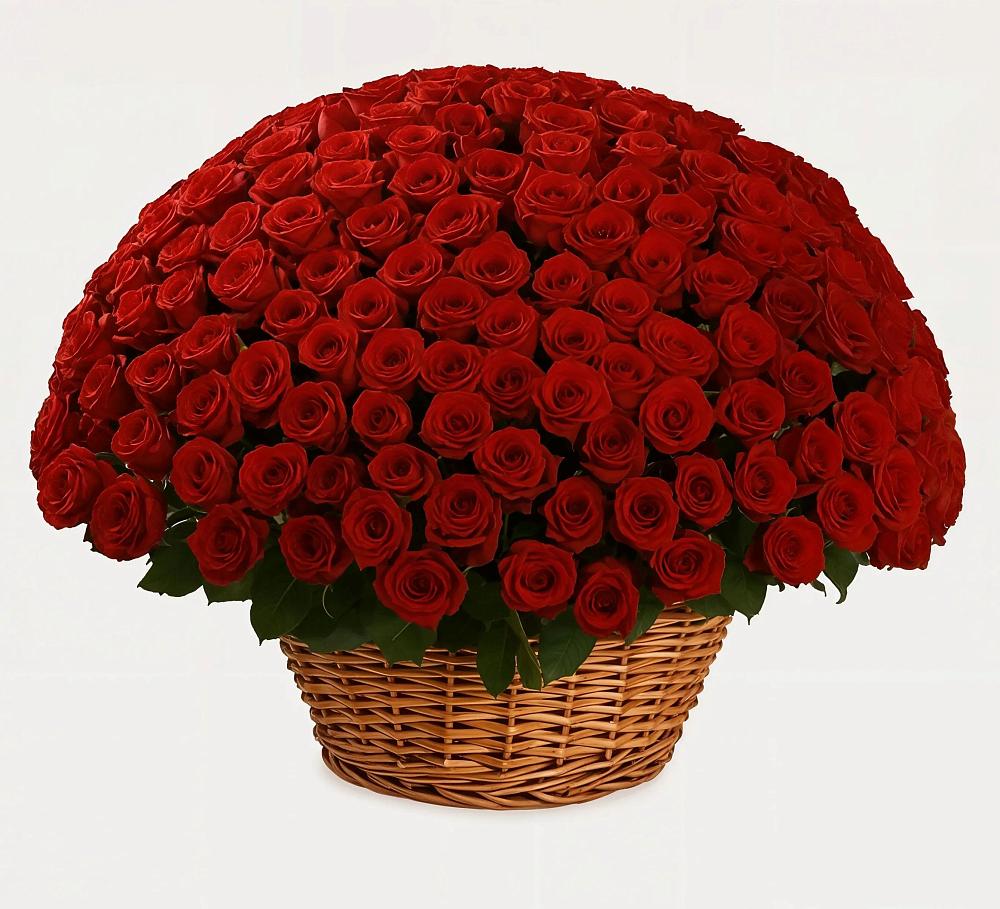 Премиум букет из: Розы в Караваево Костромской области