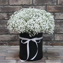 Цветочная композиция из Гипсофила в шляпной коробке #REPLACE_PRED# Караваево Костромской области
