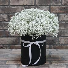 Цветочная композиция из Гипсофила в шляпной коробке в Караваево Костромской области