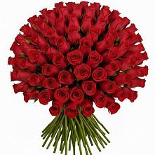 Букет Красные розы Чери Лав в Караваево Костромской области
