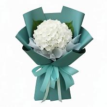 Букет цветов из:  Гортензия в Караваево Костромской области